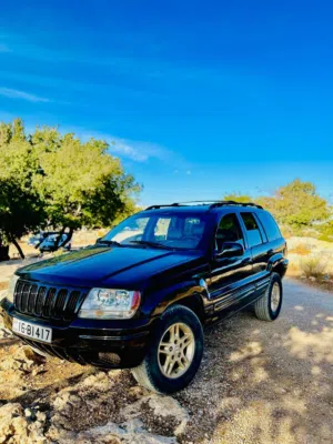 Jeep1999 V8