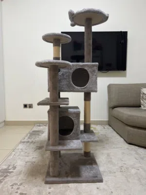 بيت قطوة يكفي ثنتين قطوة