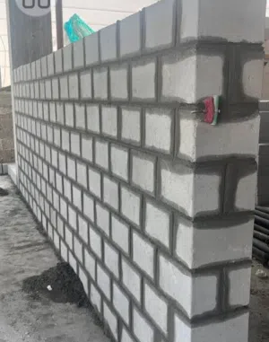 ايمن كريم 
