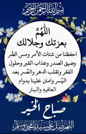مطلوب راوتر اريدو برو 6 الترا