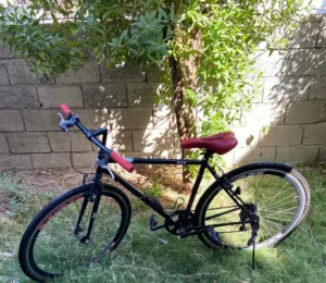 بايسكل C700