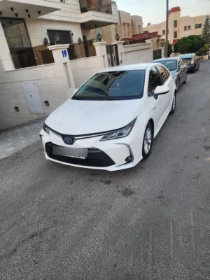 Used Toyota Corolla in Amman