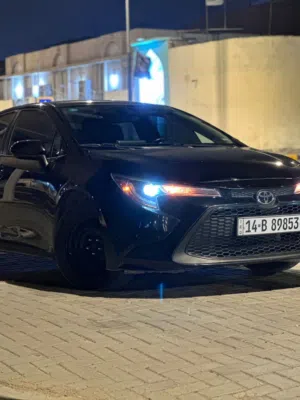 كورلا 2021 وارد امريكي
