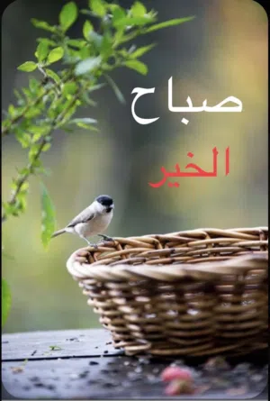 غرفة للإيجار الشهري 65 ريال يشمل النت. و الماء و الكهرباء مشاركة حسب الفواتير