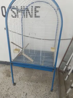 قفص ببغاء مستعمل.