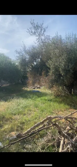 قطعة ارض للبيع بسعر والله كزيوني صاحب الرزق مستحق ضروري