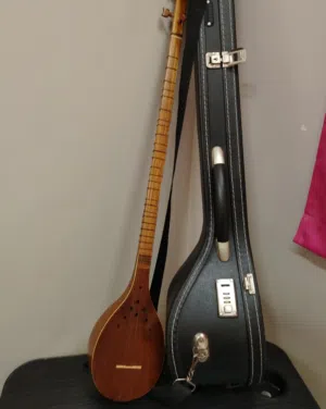 السيتار (السهتار)