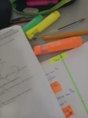 Tutoring . Other4