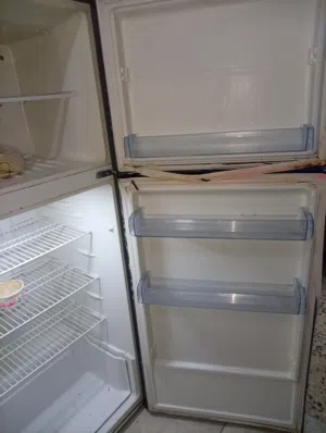 ثلاثجا ميا فل ميا فريزر بثلح ولي تحت بترد أمورها ميا فل ميا بس بدها جلد علا الجناب الباب