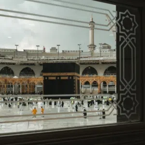 alhasani 