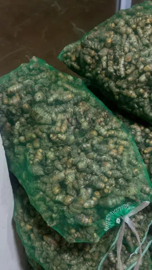 Others - Food - Supplements3