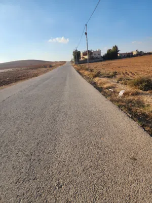 Farm Land for Sale in Mafraq Other