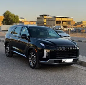 Hyundai . Palisade . 2024 . New0