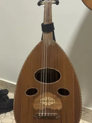 عود زرياب للبيع