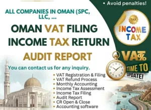 Accounts and Audit