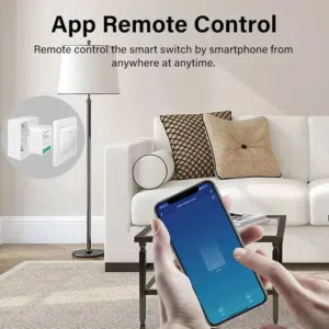 السويتش المخفي الاقتصادي (الإصدار العادي): Tuya DIY Mini Smart Switch 16A WiFi Smart Life