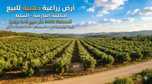 Farm Land for Sale in Salt Al Subeihi