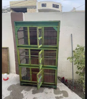 قفص طيور للبيع