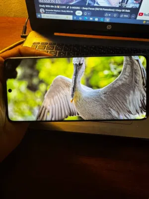 للبيع: Redmi Note 13 Pro+ 5G (أعلى نسخة) 512GB