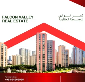 نسر الوادي للوساطة العقارية