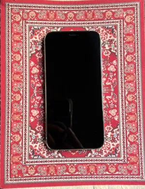 iPhone 12 pro