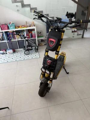 Kaabo Wolf King GT Only 190 kms covered.