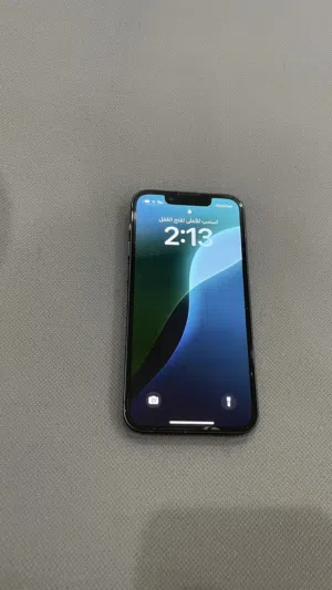 iPhone 13 mini