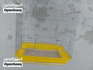 10 دينارر فقط