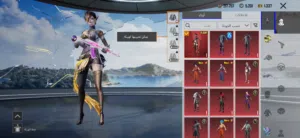 Pubg Accounts and Characters for Sale in Hawally