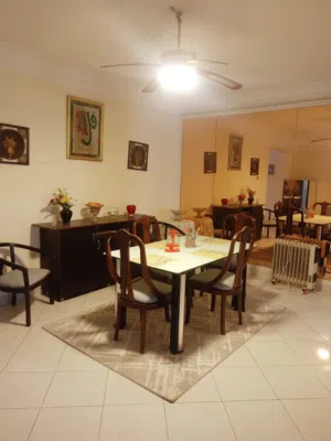 fully furnished apartment in new maadi