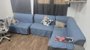 Sofa for Sale