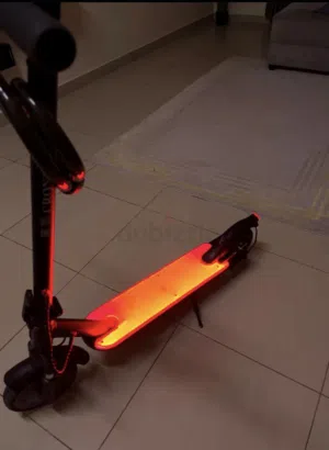 Crony E scooter