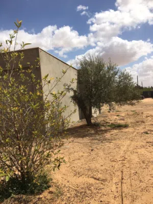منزل للبيع بناء حديث طريق المطار شارع الرملة