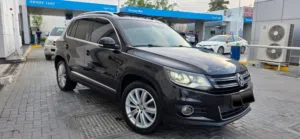 volkswagen  tiguan 2013