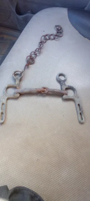 صريمة خيل تراثيه