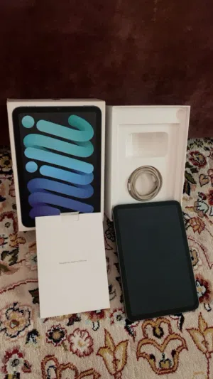 iPad mini 6