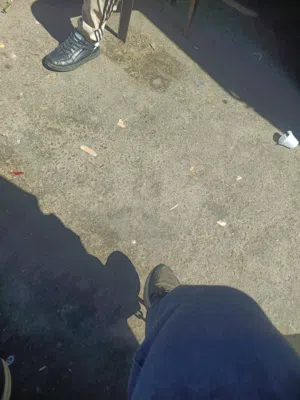 بلاط مسابح
