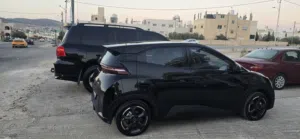 Used BYD Seagull in Amman