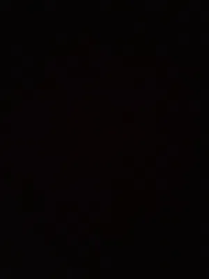 Apple iPhone 11 Other in Tripoli