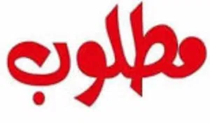 مطلوب جاج بلدي و ابو رقيبة بياض او فرخات