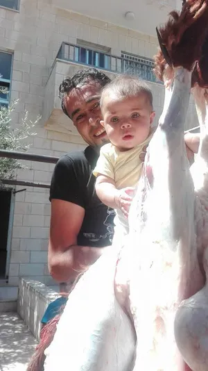 ‏غنم‏4