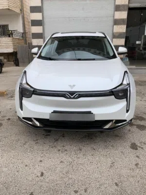 Used Neta U in Irbid