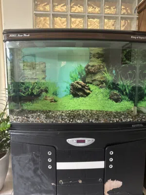 Jebo “New York” King of Aquariums – Large Curved Glass Fish Tank with Stand & Filtration Syst