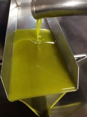 زيت زيتون من مزارع الشمال