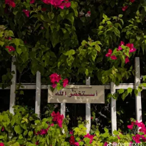 عبدالكريم حمد 