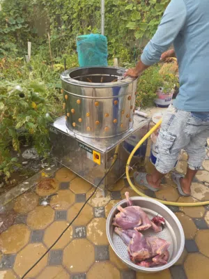 جهاز نتافة دجاج