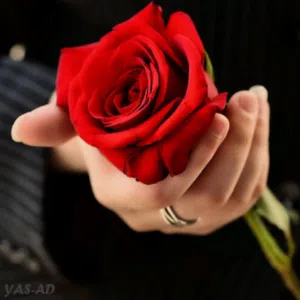 محمد الرقادي