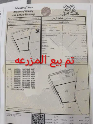 تم بيع المزرعه وتوجد مزرعه أخرى للبيع وسوف يتم عرضها لاحقا