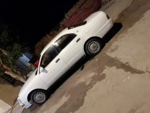 بطه منتصل جاهزه