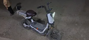 ياديا كاتوجا